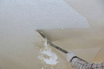 Popcorn Ceiling Removal in Driver, Virginia by The Big Cover Up LLC